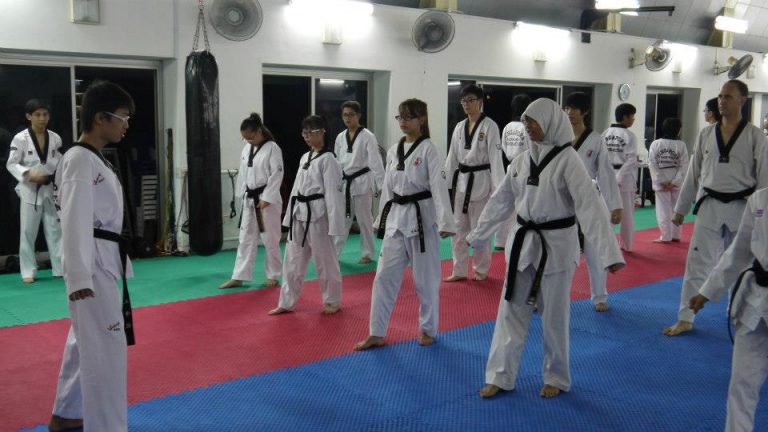 NCAP (Level 1) Taekwondo Technical Course (October/November 2015)