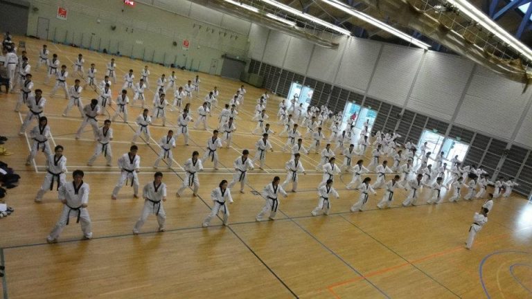 Poomsae Coach Course (Saturday 28 March 2015)