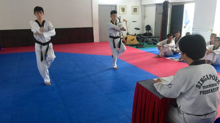 ‘Dan’ Promotion Course (December 2018)