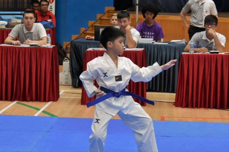 Poomsae Referee Course (31 March 2018 & 1 April 2018)
